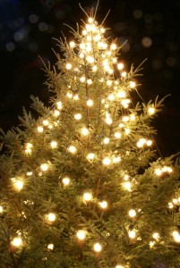 Lighted Christmas tree