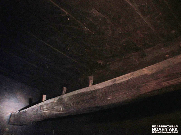 Wooden beam in "ark" remains (NAMI)