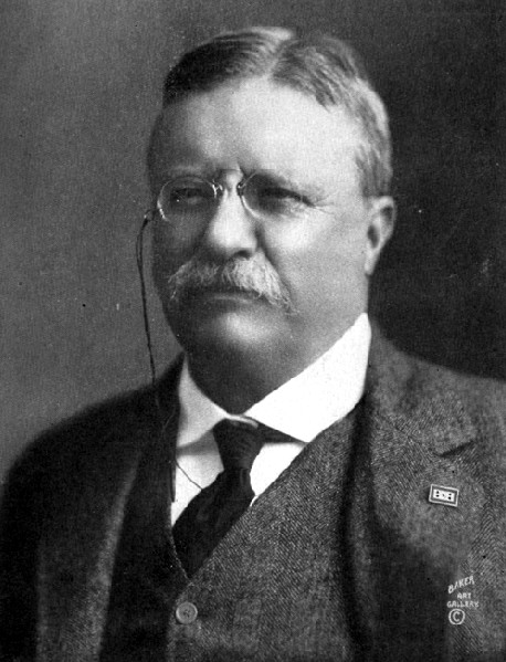Photo portrait of President Theodore Roosevelt