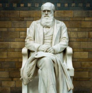 Charles Darwin statue at Natural History Museum