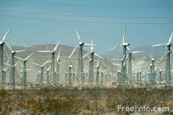 Wind Farm in Palm Springs, California