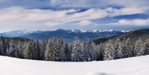 snowy landscape in Ukraine with trees and mountains