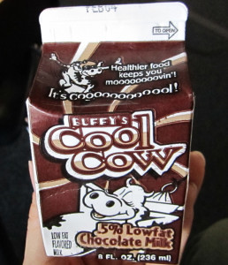 chocolate milk carton