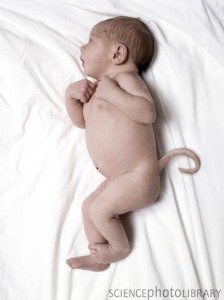 baby with tail