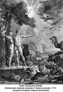 Jacques_Christophe_Valmont_Bomare_Adam_naming_the_animals_400