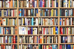 Large full bookcase, second hand bookshop, fiction