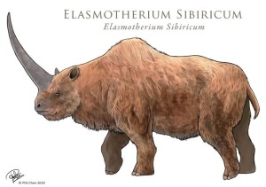 Elasmotherium sibiricum by phil chen